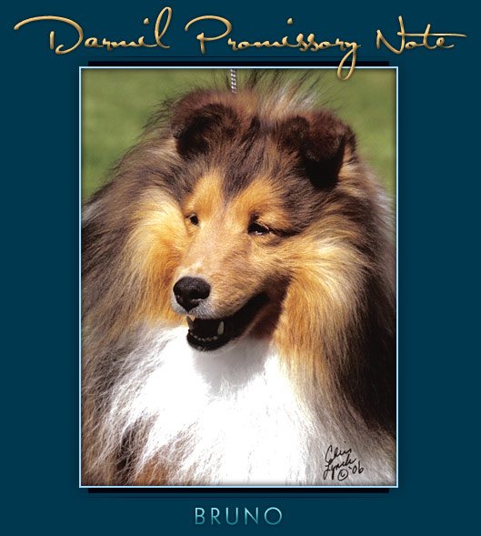 Darmil Promissory Note