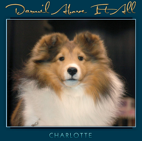 Darmil Twice Kissed